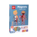 Apli Komplet magneti človeško telo