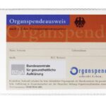 nedefinirano Ovitek za dokumente A7 74 x 105 mm