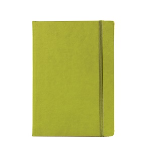 Notes B5 Bloom big pistacio